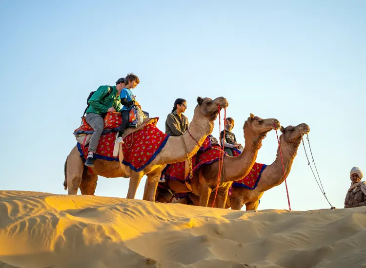 Camel Safari Jaisalmer